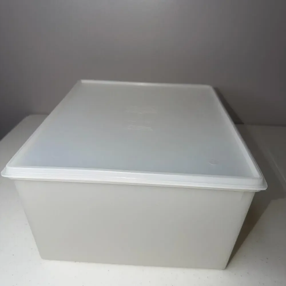 Vintage Perfect Storage by Family Products Lg Plastic Storage Container with Lid